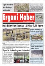 ERGANİ HABER