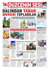 DÜZCENİN SESİ